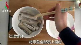 有点料官网,解锁生活新趣味